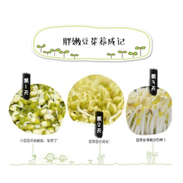 贵州福泉超节能豆芽机* 豆芽机批发商 盛隆豆芽机生产线