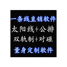 全球一条线*公排系统开发