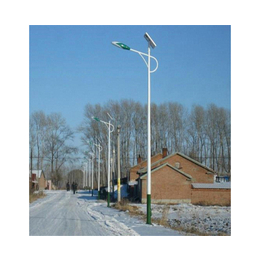 农村太阳能路灯-安徽传军-合肥太阳能路灯