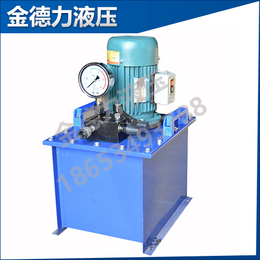 金德力(图)、大流量超高压电动泵、超高压电动泵