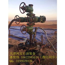 电泵悬挂器价格-天津凤宝-电泵悬挂器