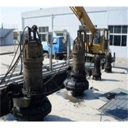 离心式水泵维修价格|武清离心式水泵维修|天津世纪忠浩机电设备