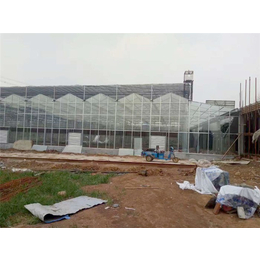 青州瀚洋农业-玻璃温室-玻璃温室造价