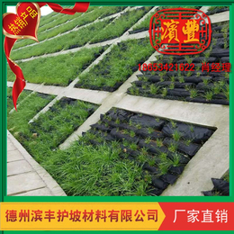 供应厂家*2019新品滨丰绿色环保生态袋生态草毯