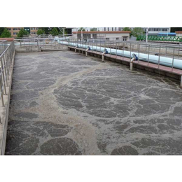 工业废水处理-工业废水处理系统-山东宜净源(推荐商家)