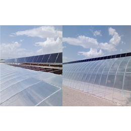 齐鑫温室园艺、太阳能温室、光伏太阳能温室大棚