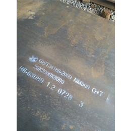 内蒙古NM360钢板-龙泽*钢板(在线咨询)