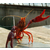 室内龙虾养殖|武汉农科大龙虾养殖|陕西龙虾养殖缩略图1