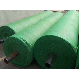 绿色防尘网批发商,梧州绿色防尘网,威友丝网