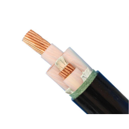 泰安高压电缆,柏康电缆,山东高压电缆型号