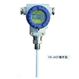 CR-602系列高溫高壓液位計