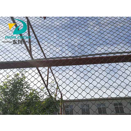 养殖铁丝网围栏价格|东川丝网(在线咨询)|铁丝网围栏