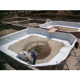 安徽复合土工膜厂家、华创工程(在线咨询)、土工膜