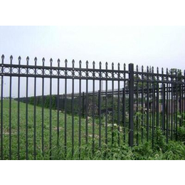 喷塑草坪护栏、临朐远晟金属(在线咨询)、厦门草坪护栏
