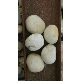 鹅卵石批发-*石材(在线咨询)-湖南鹅卵石