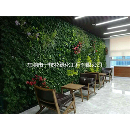展厅绿化墙服务公司-一枝花绿化工程-展厅绿化墙