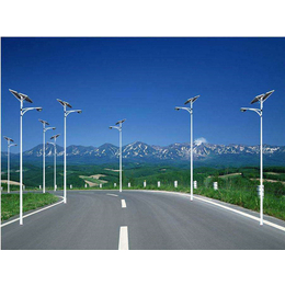东龙新能源公司(图)|太阳能路灯加工|通辽太阳能路灯