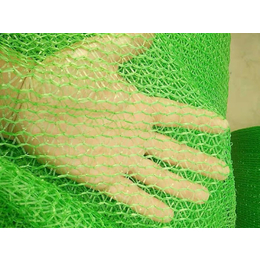 绿色盖土网-平阳盖土网-巨东化纤