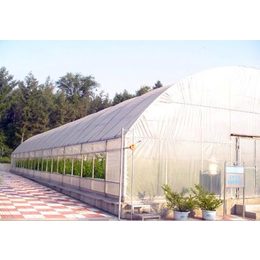 青州鑫华生态农业|新乡温室|薄膜连栋温室