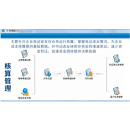 小企业财务软件|仙桃财务软件|企管通