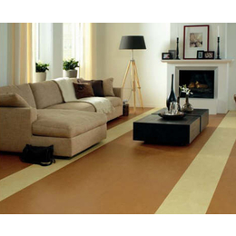 阜阳塑胶地板-合肥迪耐塑胶地板价格-舞蹈房塑胶地板