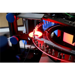 光学分选机厂家，林洋(图)|玻璃盘影像筛选机|影像筛选机