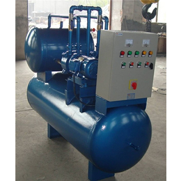 2BV5真空泵厂家,淄博元升泵业(在线咨询),合肥真空泵
