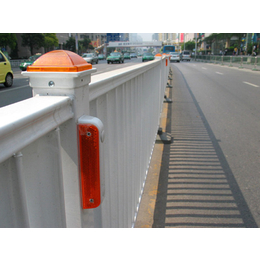 北林区护栏-中泽丝网-PVC道路护栏
