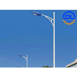 东龙新能源公司(图),农村LED路灯生产,南京农村LED路灯