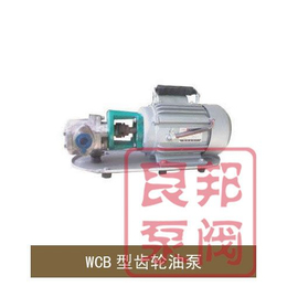 WCB型输油泵 www.goooglb*