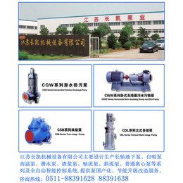 立式管道泵、江苏长凯机械公司、立式管道泵厂