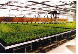 温室育苗移动喷灌机灌溉行业设备