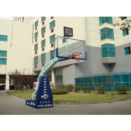 飞*育设施厂家*(图),室外篮球架价格,云南篮球架