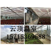 青州市云顶温室工程有限公司