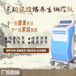 养生仪器经络疏通仪价格 养生仪器经络疏通仪多少钱一台