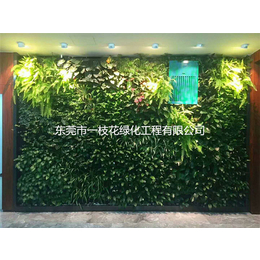 室内植物墙-室内植物墙造林工程-一枝花绿化(推荐商家)