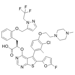 梅州蛋白分子量测试