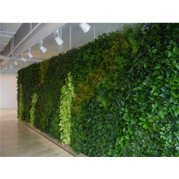 植物墙，垂直绿化、昱顺实业(图)