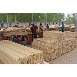 旺源木业(多图)|辐射松建筑木材图片|辐射松建筑木材