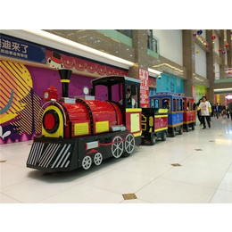 无轨小火车游乐设备,金琦诺游乐(在线咨询),小火车