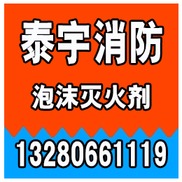 江门泡沫罐、广东泡沫罐价格、泰宇消防(****商家)