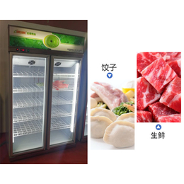 饺子速冻柜生产商|饺子速冻柜|达硕厨房设备制造