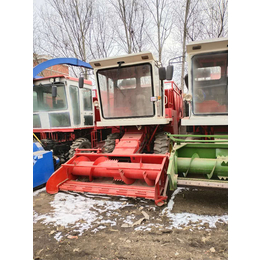 牛羊饲料收割机 厂家生产大型玉米青储机 燕麦草粉碎回收机