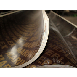 智晨木业覆塑板-莱芜木质圆模板-木质圆模板厂家