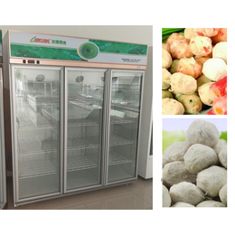 齐齐哈尔商用速冻柜,达硕厨房设备制造,商用速冻柜单价