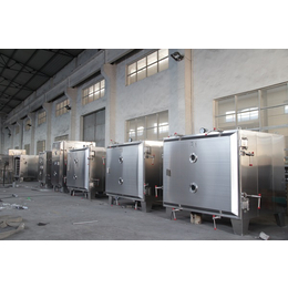 广安真空干燥机-龙伍机械厂家(图)-冷冻式真空干燥机