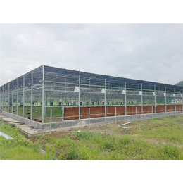玻璃温室-青州瀚洋农业-玻璃温室建设