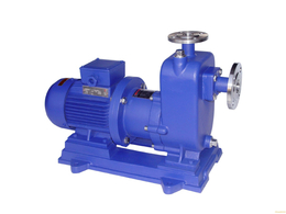ZCQ50-40-160磁力泵-自吸式磁力泵价格-无锡磁力泵