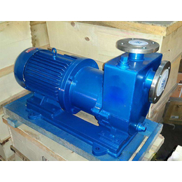 温州磁力泵、自吸磁力泵(图)、卧式自吸磁力泵客服热线