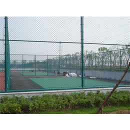 河北宝潭护栏(图)|球场护栏网*|重庆球场护栏网
